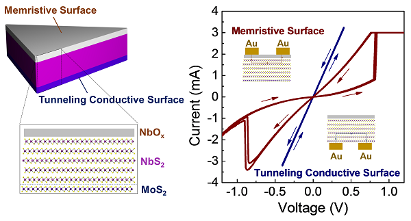 1575637188553096683.png 11.png